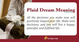 Plaid Dream Meaning