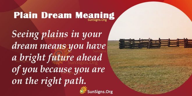 Plain Dream Meaning