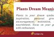 Plants Dream Meaning