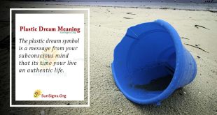 Plastic Dream Meaning