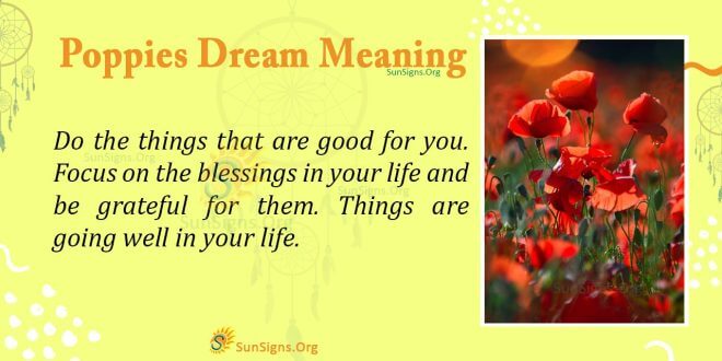 Poppies Dream Meaning