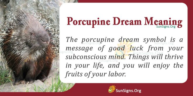 Porcupine Dream Meaning