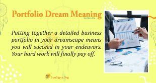 Portfolio Dream Meaning