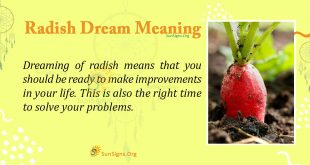 Radish Dream Meaning