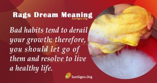 Rags Dream Meaning