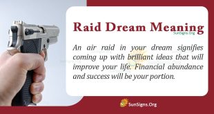 Raid Dream Meaning