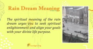 Rain Dream Meaning