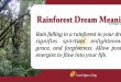 Rainforest Dream Meaning