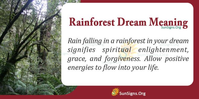 Rainforest Dream Meaning