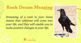 Rook Dream Meaning