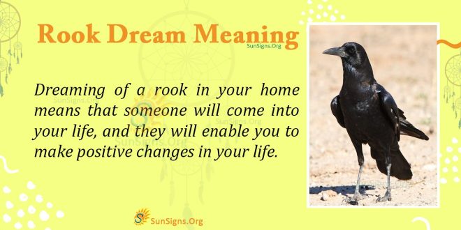 Rook Dream Meaning