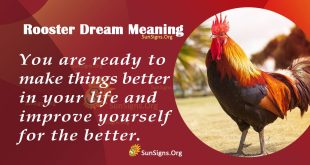 Rooster Dream Meaning