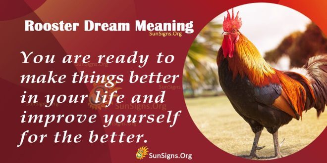 Rooster Dream Meaning