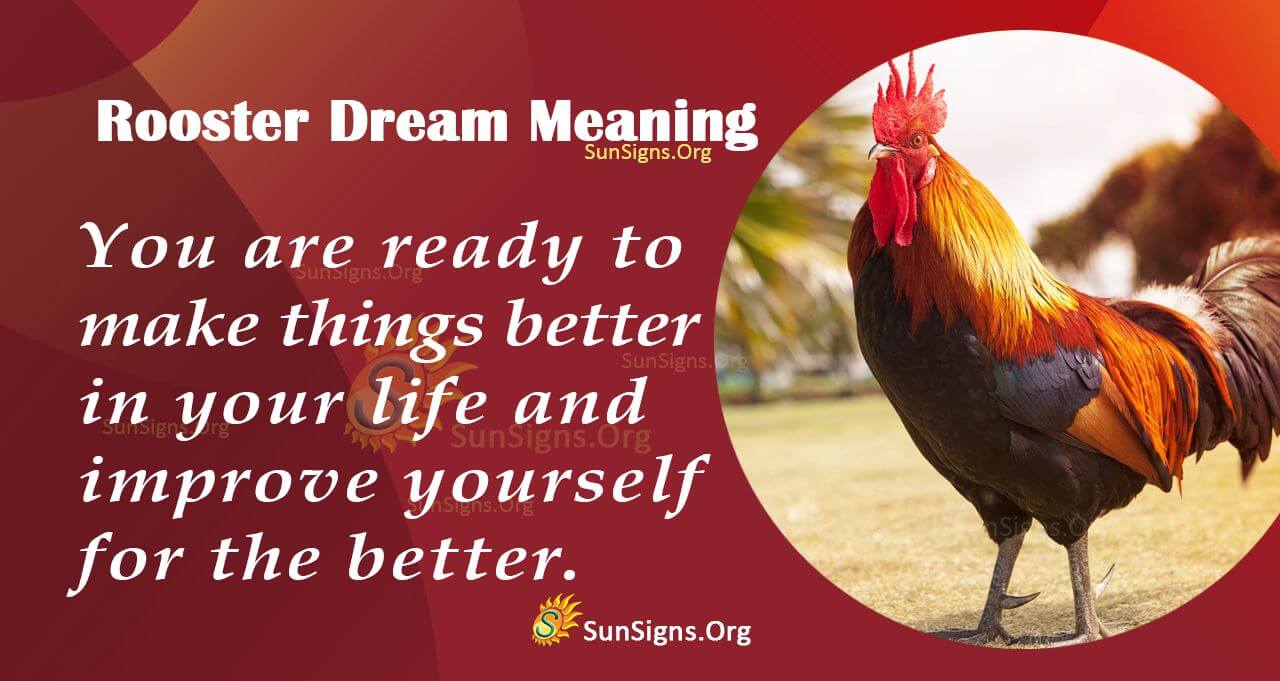 Rooster Dream Symbol Meaning, Interpretation and Symbolism