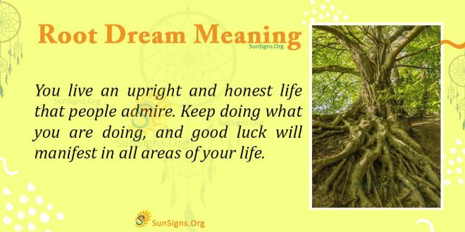 Root Dream Meaning