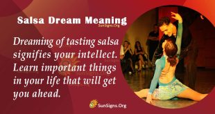 Salsa Dream Meaning