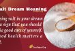 Salt Dream Meaning