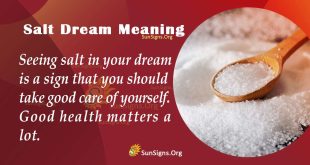 Salt Dream Meaning