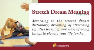 Stretch Dream Meaning