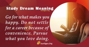 Study Dream Meaning