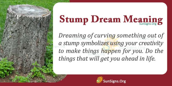 Stump Dream Meaning