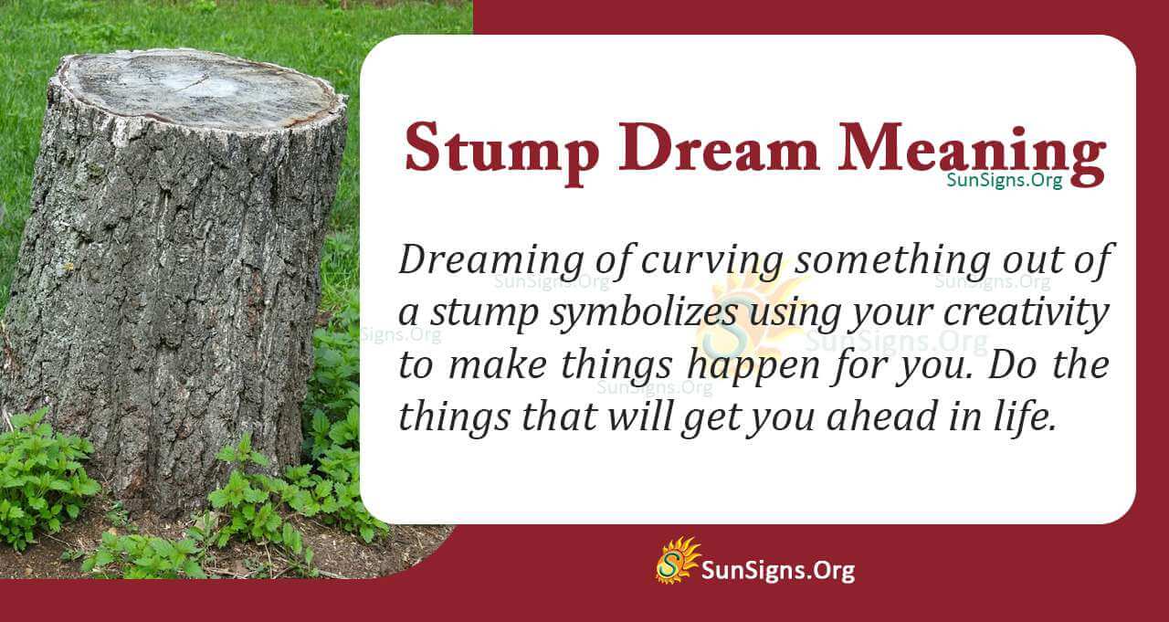 Seeing a Stump In Your Dream Meaning, Interpretation And Symbolism