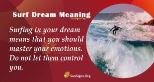 Surf Dream Meaning