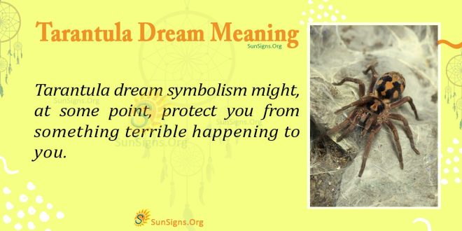 Tarantula Dream Meaning