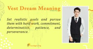 Vest Dream Meaning