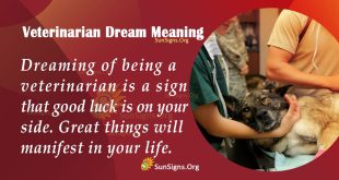 Veterinarian Dream Meaning