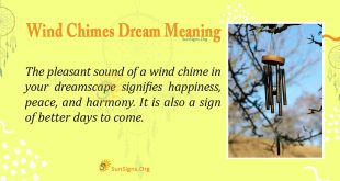 Wind Chimes Dream Meaning