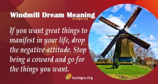 Windmill Dream Meaning