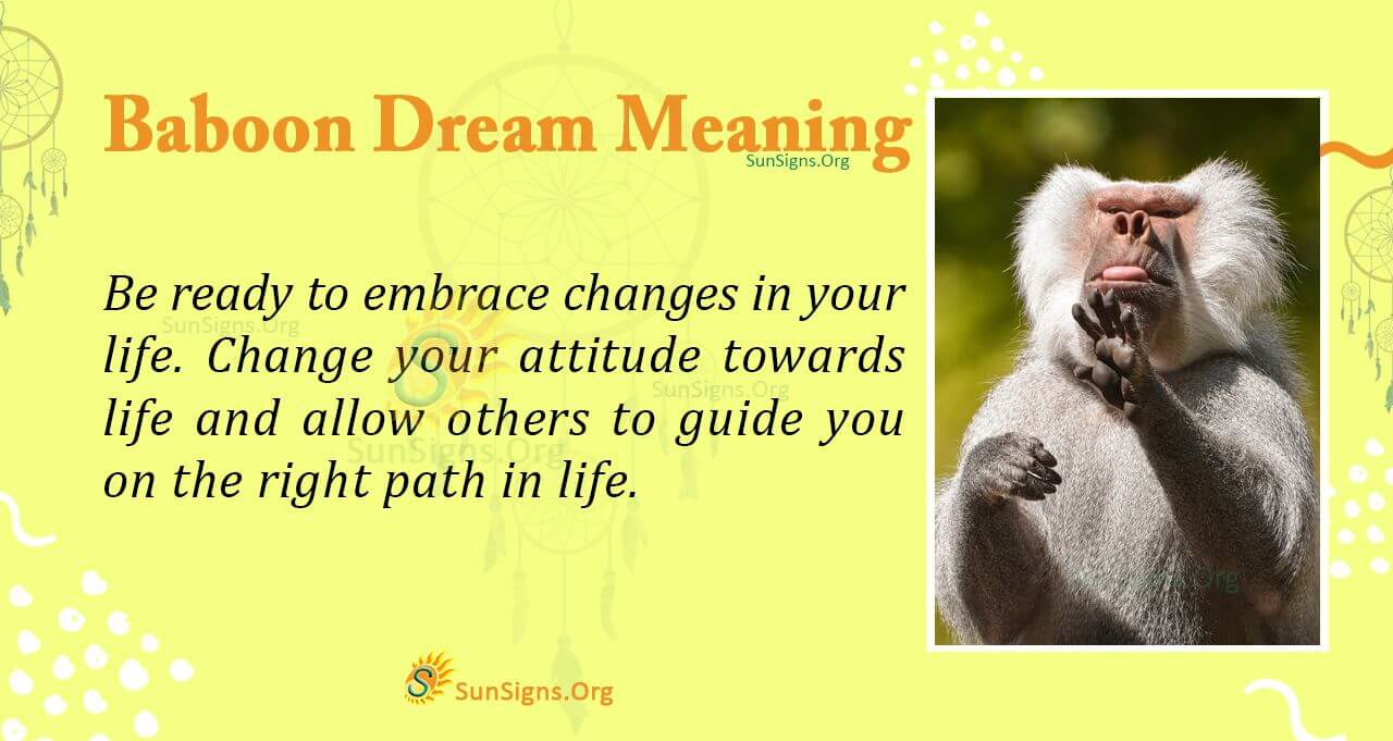 A Baboon In Your Dream Meaning Interpretation And Symbolism