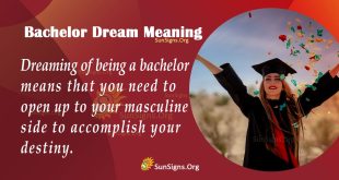 Bachelor Dream Meaning