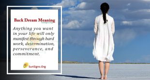 Back Dream Meaning
