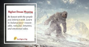 Bigfoot Dream Meaning