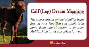 Calf(Leg) Dream Meaning