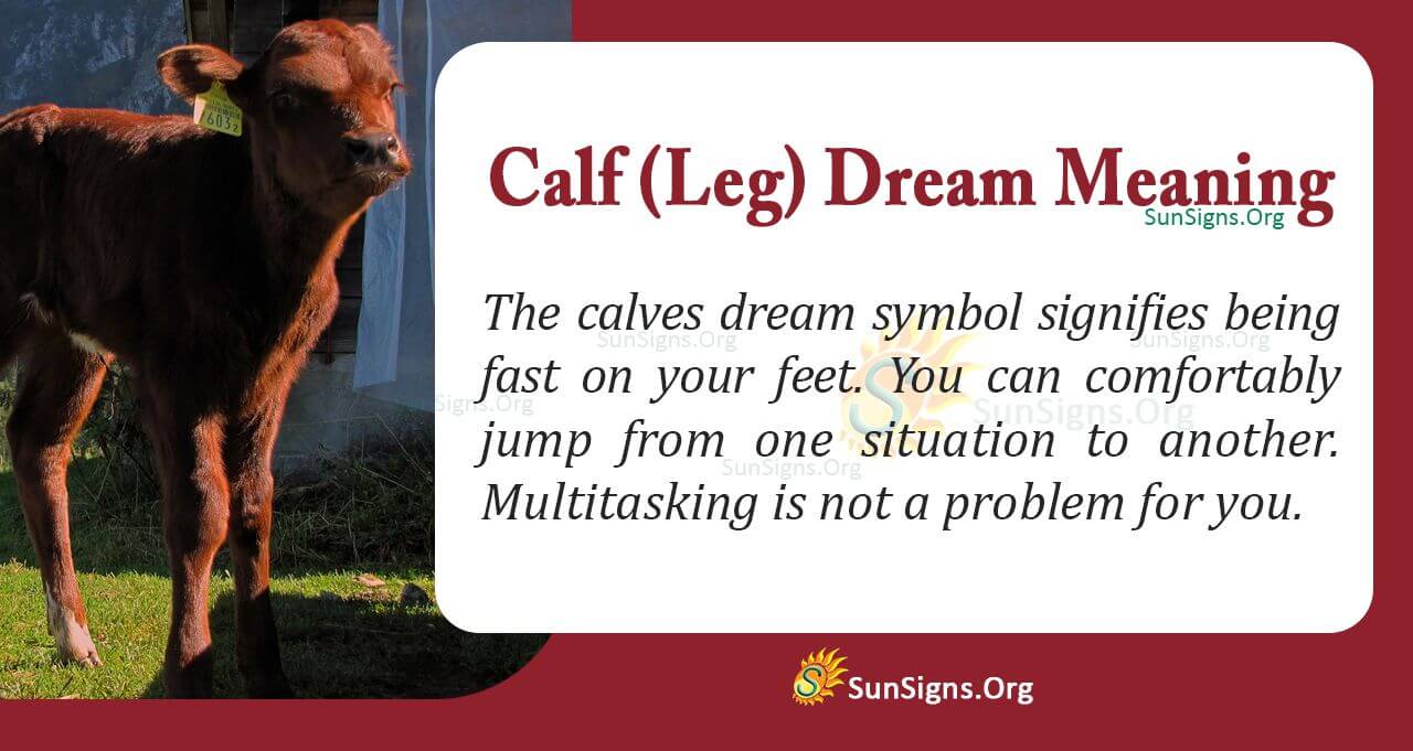 Seeing Leg Calves In A Dream Meaning, Interpretation and Symbolism
