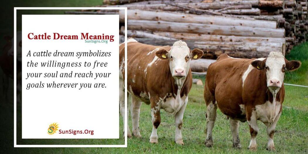 Meaning Of A Cattle Dream - Interpretation And Symbolism - SunSigns.Org
