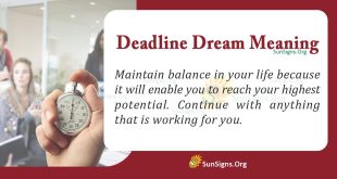 Deadline Dream Meaning
