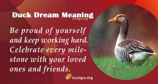 Duck Dream Meaning