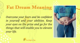 Fat Dream Meaning