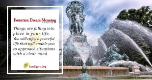 Fountain Dream Meaning