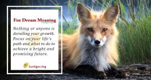 Fox Dream Meaning