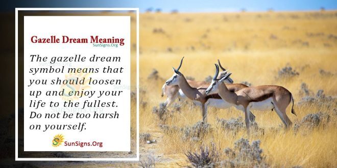 Gazelle Dream Meaning