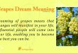 Grapes Dream Meaning