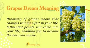Grapes Dream Meaning