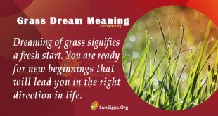 Grass Dream Meaning