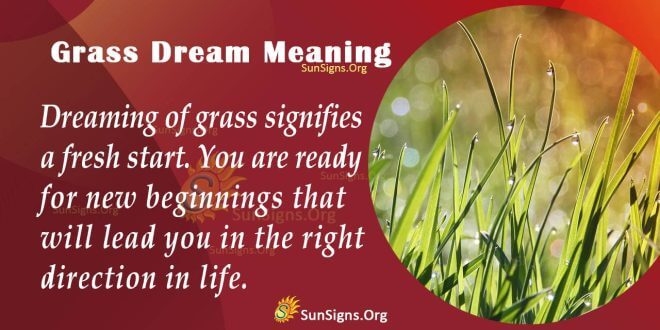 Grass Dream Meaning