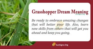 Grasshopper Dream Meaning